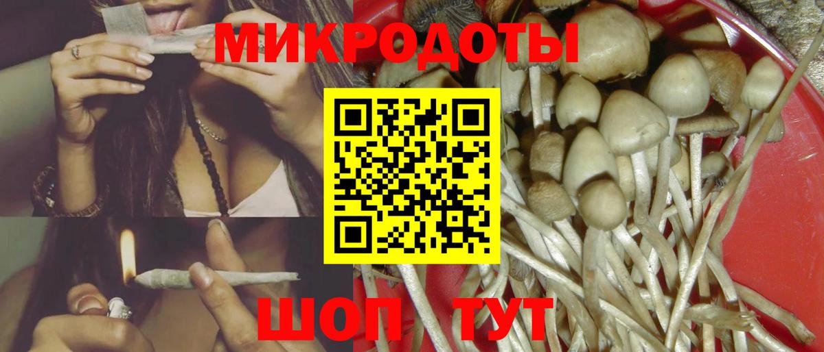 Псилоцибиновые грибы Cubensis Кизляр