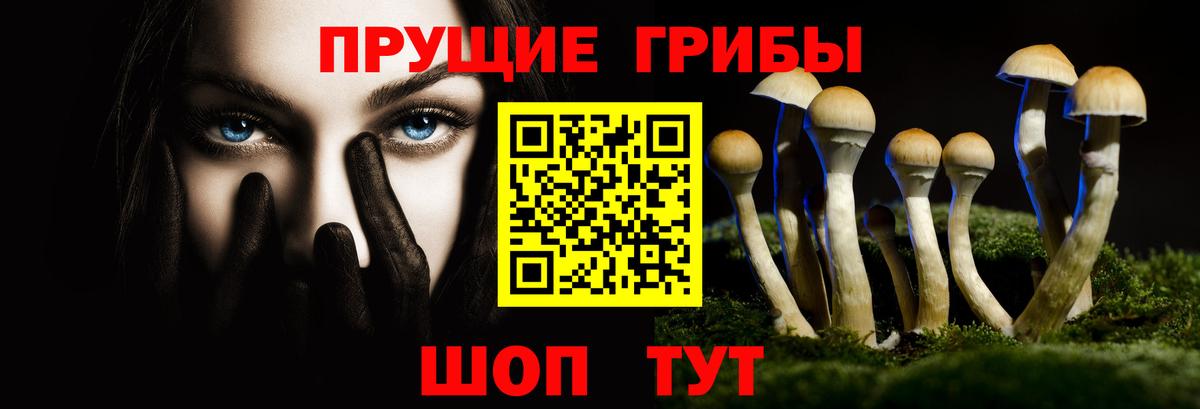 Кизляр  Псилоцибиновые грибы мухоморы  Вход с VPN 